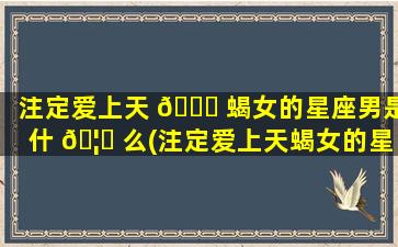 注定爱上天 🐛 蝎女的星座男是什 🦋 么(注定爱上天蝎女的星座有哪些)